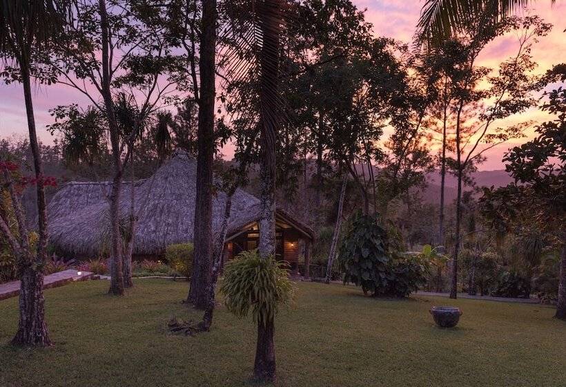 酒店 Gaia Riverlodge