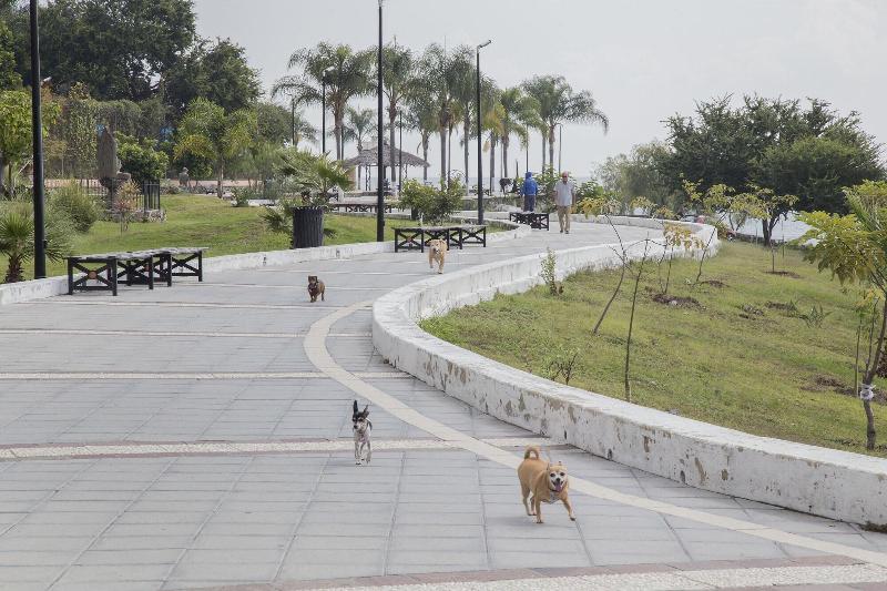 호텔 Hacienda Del Lago Boutique