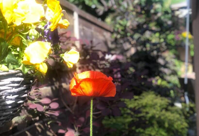 호텔 Hendham House