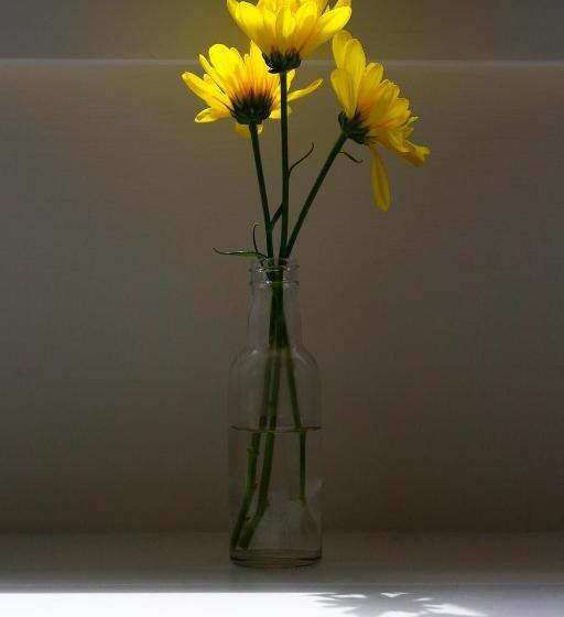 호텔 Leworthy Farmhouse Bed And Breakfast