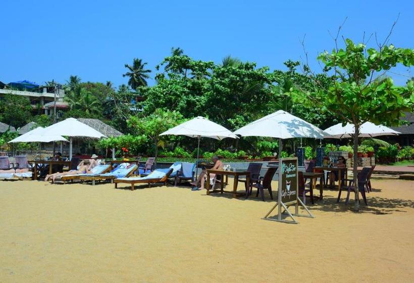 Hotel Palm Tree Heritage