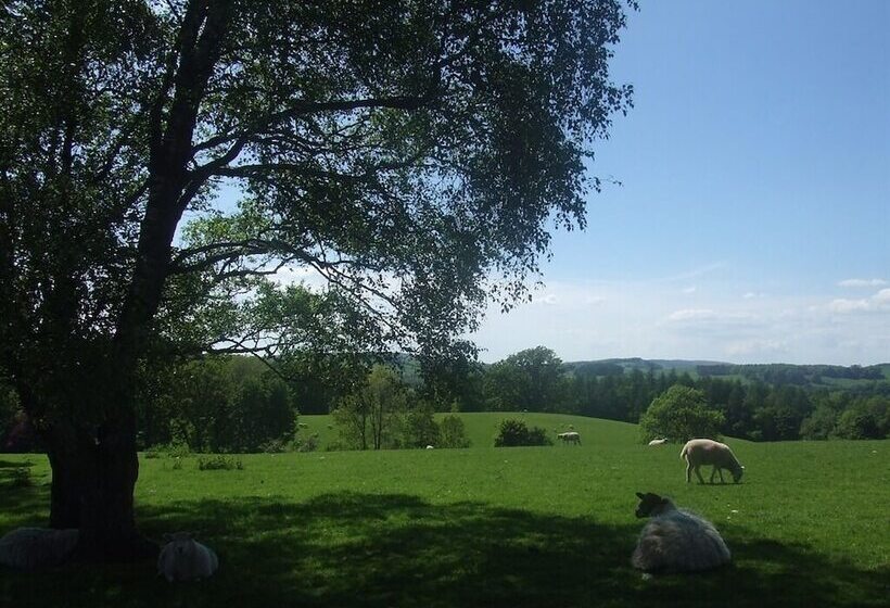 ホテル Pheasant Inn