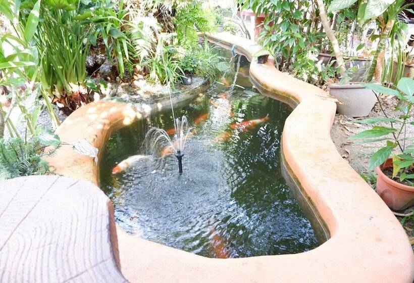 בית מלון כפרי Phuket Airport Overnight