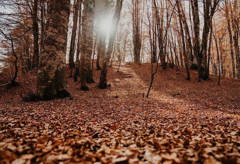 Praia Art Resort   Small Luxury Hotels Of The World