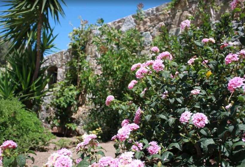 Отель Hôtel Et Résidence Benista