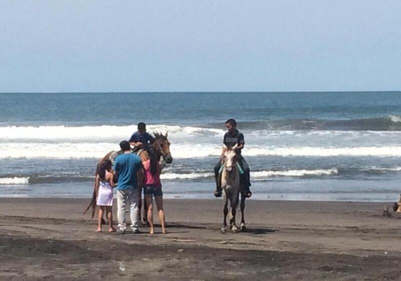 هتل Sabas Beach Resort