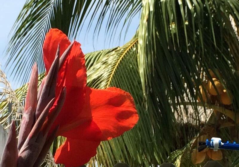 هتل Sabas Beach Resort