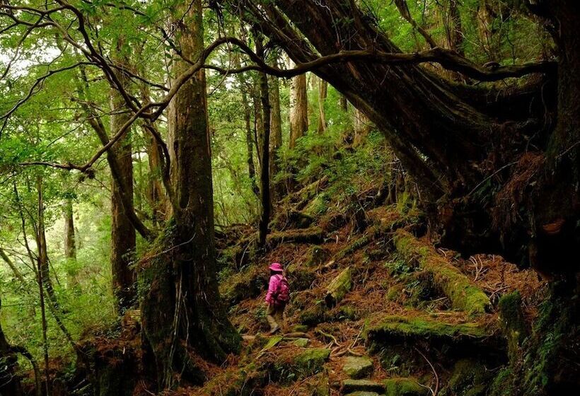 Sankara Hotel & Spa Yakushima