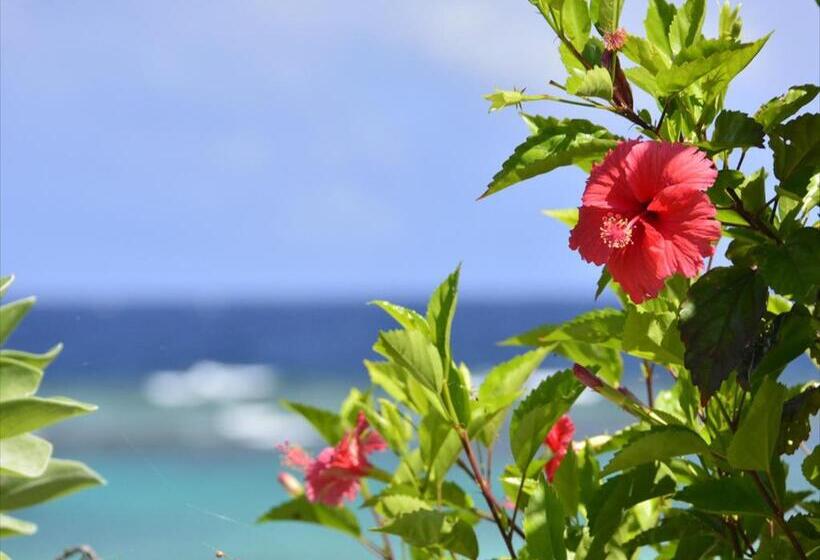 酒店 Shigira Bayside Suite Allamanda