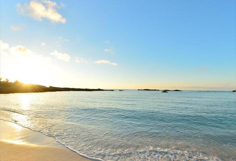 酒店 Shigira Bayside Suite Allamanda