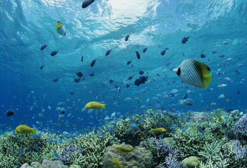 酒店 Shigira Bayside Suite Allamanda