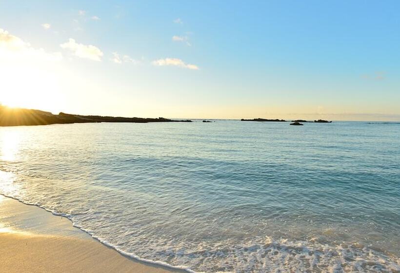 酒店 Shigira Bayside Suite Allamanda