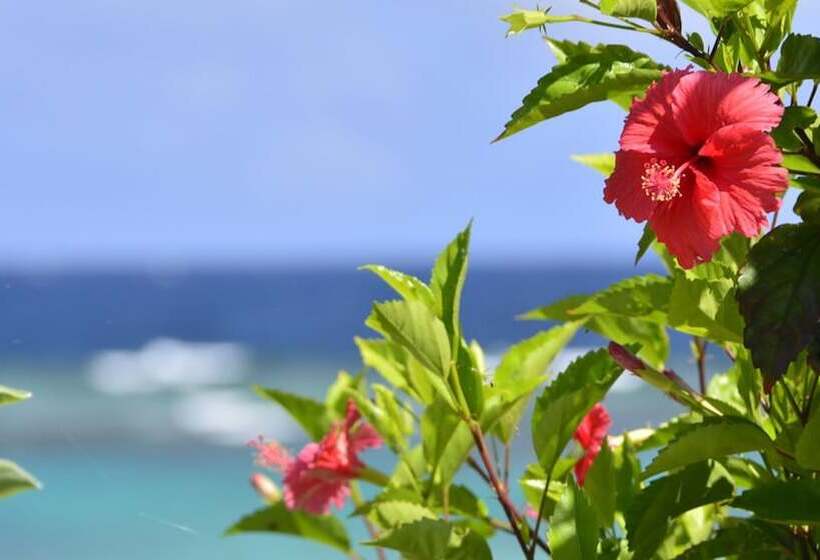 酒店 Shigira Bayside Suite Allamanda