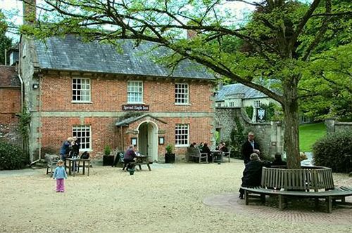 فندق Spread Eagle Inn