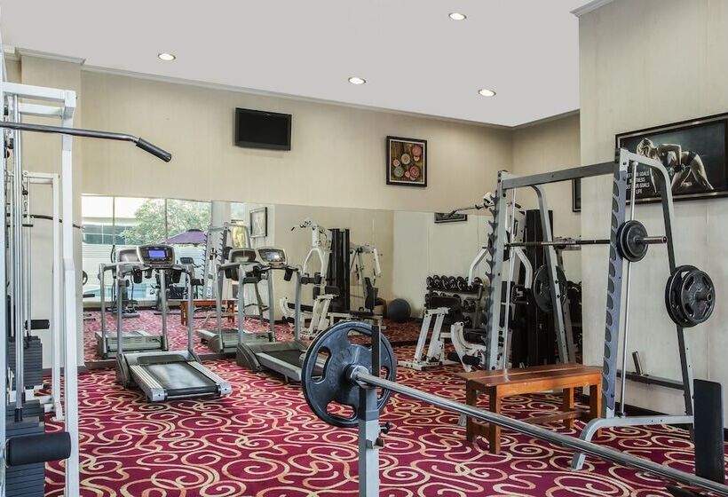 Swiss Belhotel Merauke