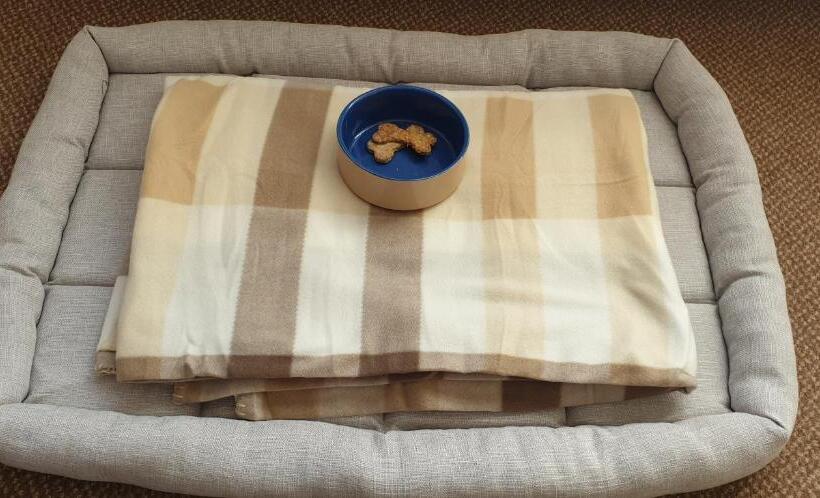 ホテル The George Inn