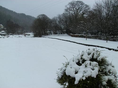 ホテル The Hollybrook Country Inn