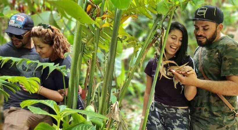فندق Vista Del Cerro