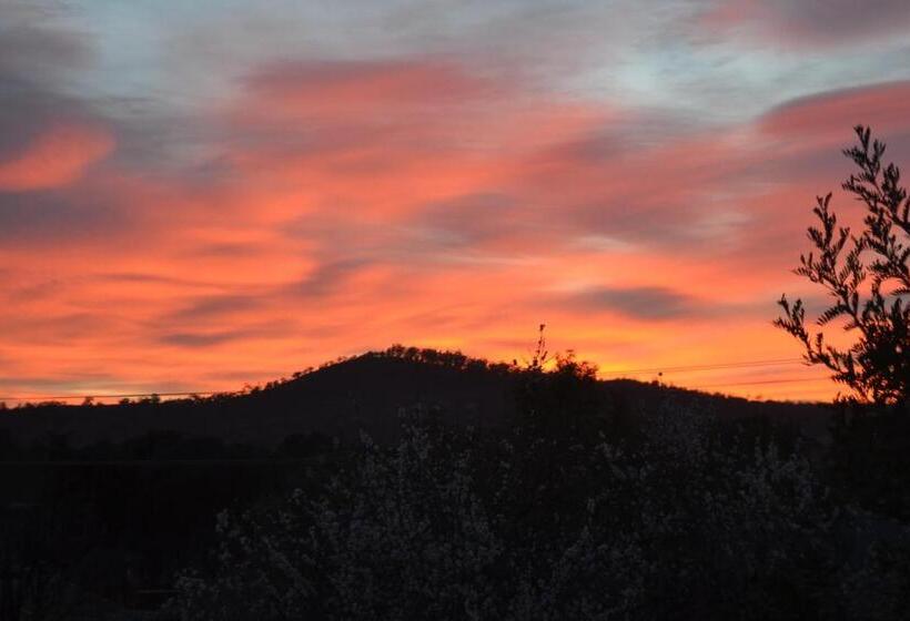 Mulberry Cottage Unique B&b Accommodation