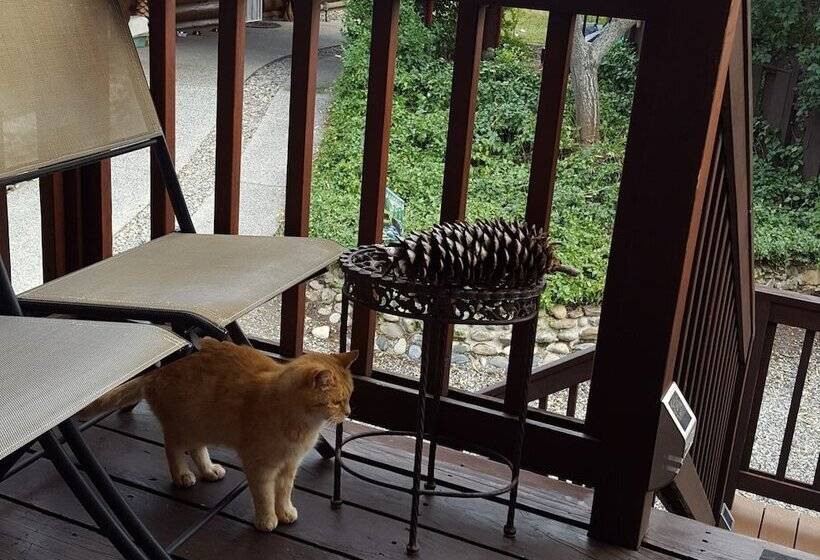 Nature S Inn Bed And Breakfast