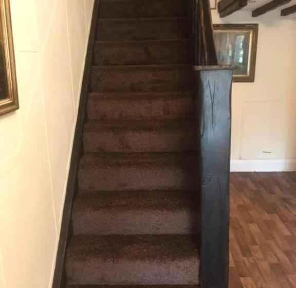 פנסיון Clarendon Lodge   Accommodation Only