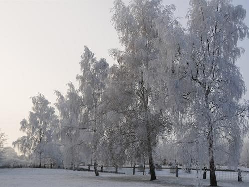 Пансион Colton House