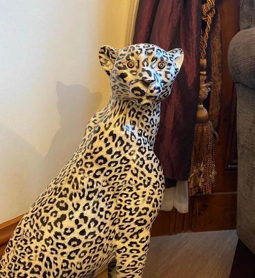 بنسيون Elm Tree Lodge