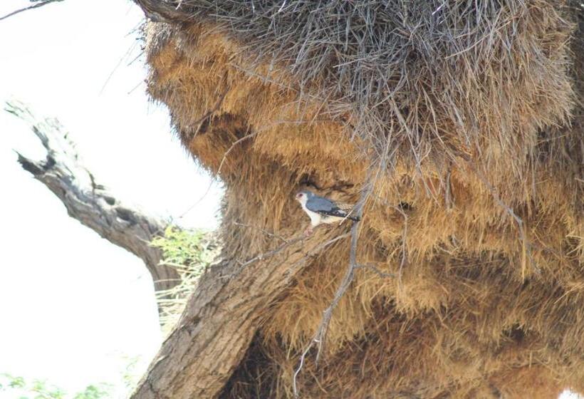 Pension Etango Ranch Guest Farm