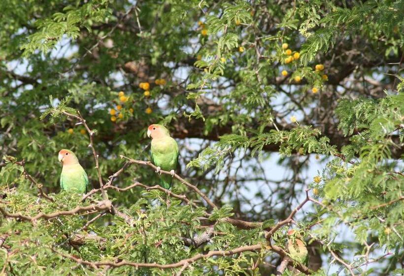 Pension Etango Ranch Guest Farm