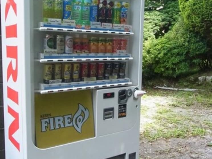 פנסיון Fujihakone Guest House