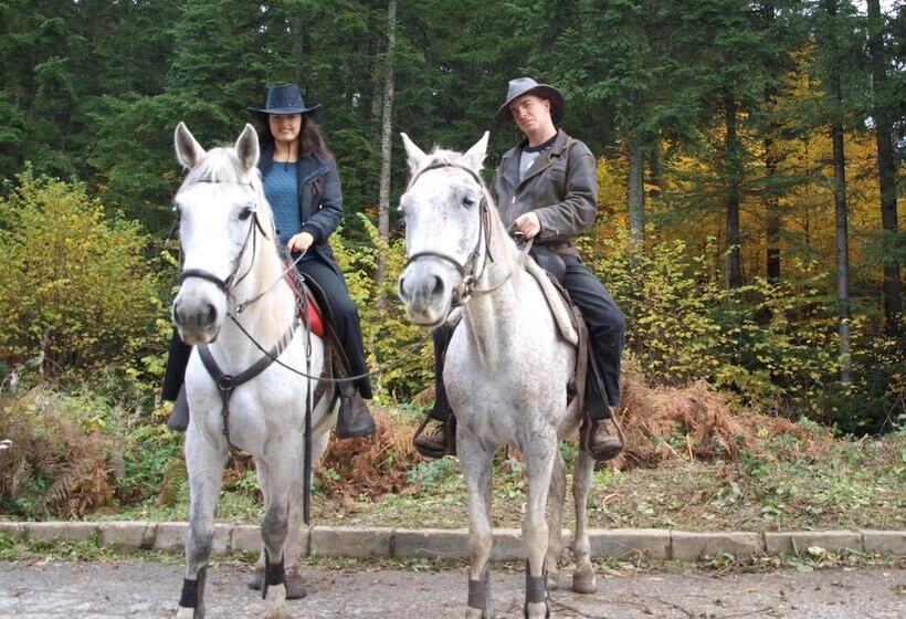 Пансион Guest House Zodiac