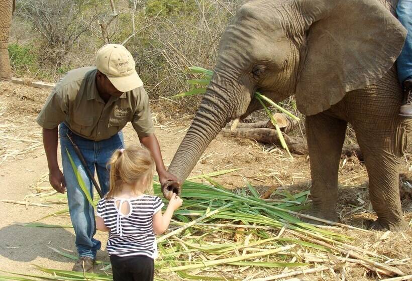 פנסיון Kings Camp