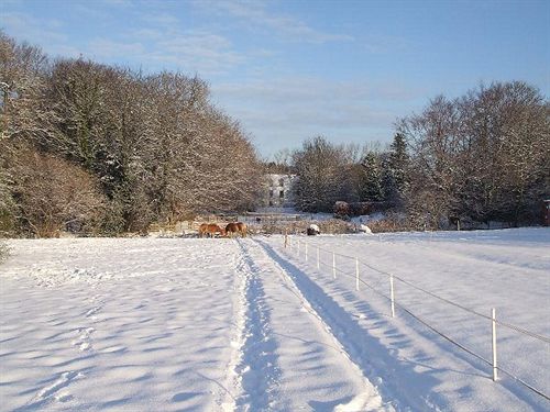 بنسيون Letham House