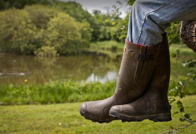 Пансион Llanerch Vineyard