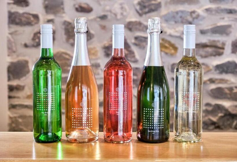 Пансион Llanerch Vineyard