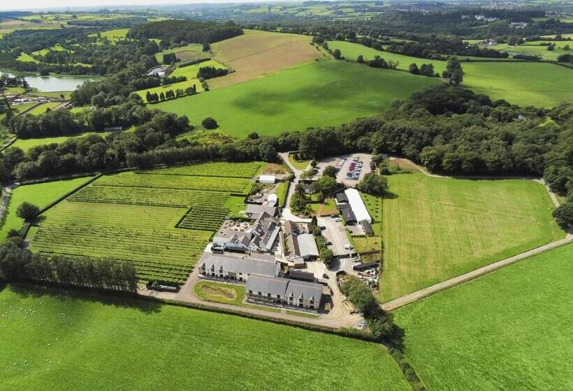 Пансион Llanerch Vineyard