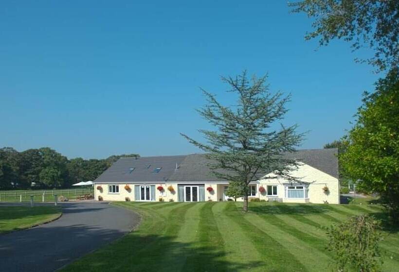 פנסיון Lovesgrove Country Guest House