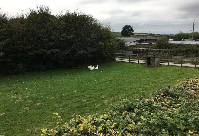 ペンション Mullacott Farm