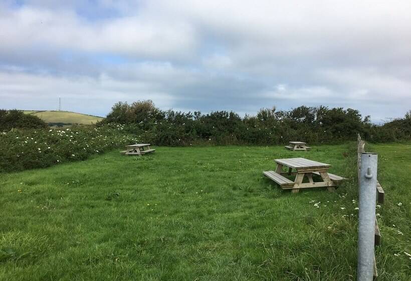 ペンション Mullacott Farm