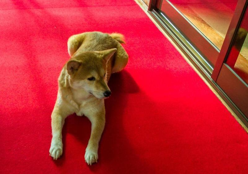 پانسیون Hiogiso