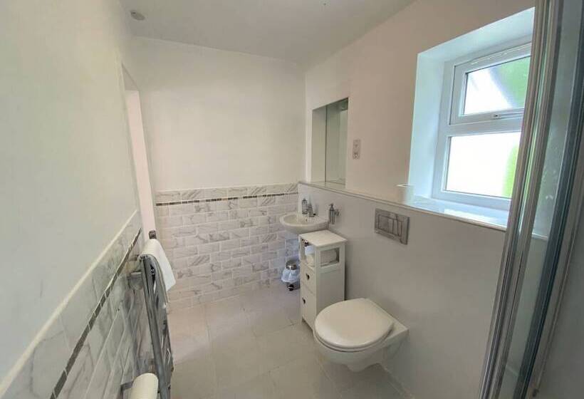 פנסיון Snowdonia Mountain Lodge