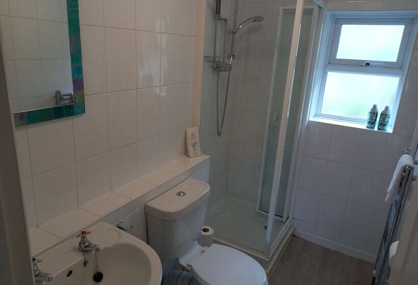 פנסיון Snowdonia Mountain Lodge