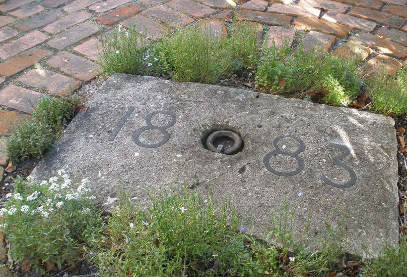 بنسيون Taiparoro House 1882