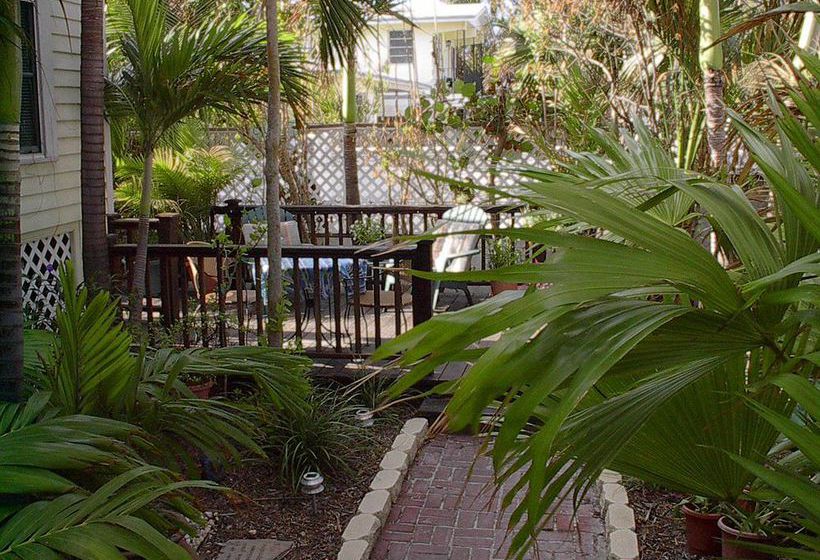 بنسيون The Beach Bungalow