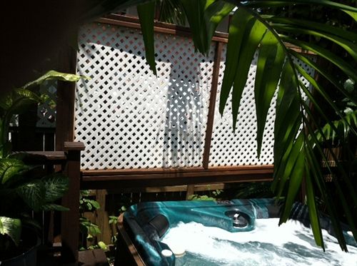 بنسيون The Beach Bungalow