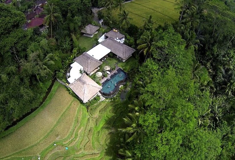 פנסיון Villa Amrita