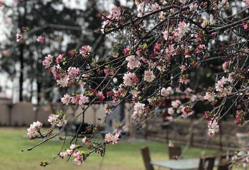 膳宿费 Villa Provence