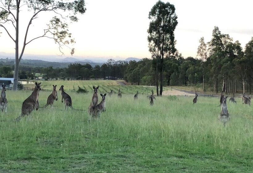 膳宿费 Villa Provence