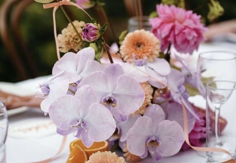 膳宿费 Villa Provence