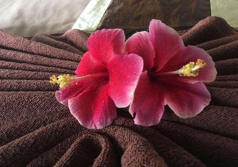 Phi Phi Green Hill Resort